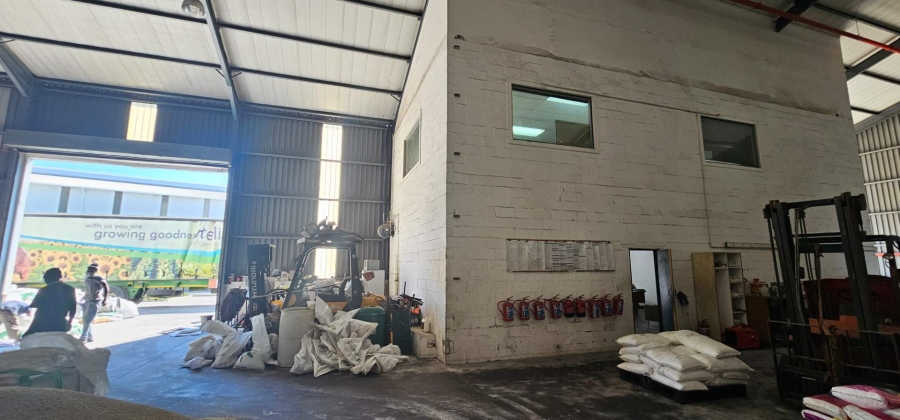 To Let commercial Property for Rent in Brackenfell South Western Cape